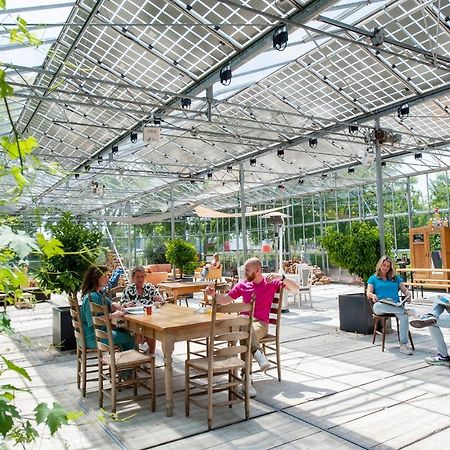 Achterhoeks Goed, Bed & Breakfast In Vragender Exteriör bild