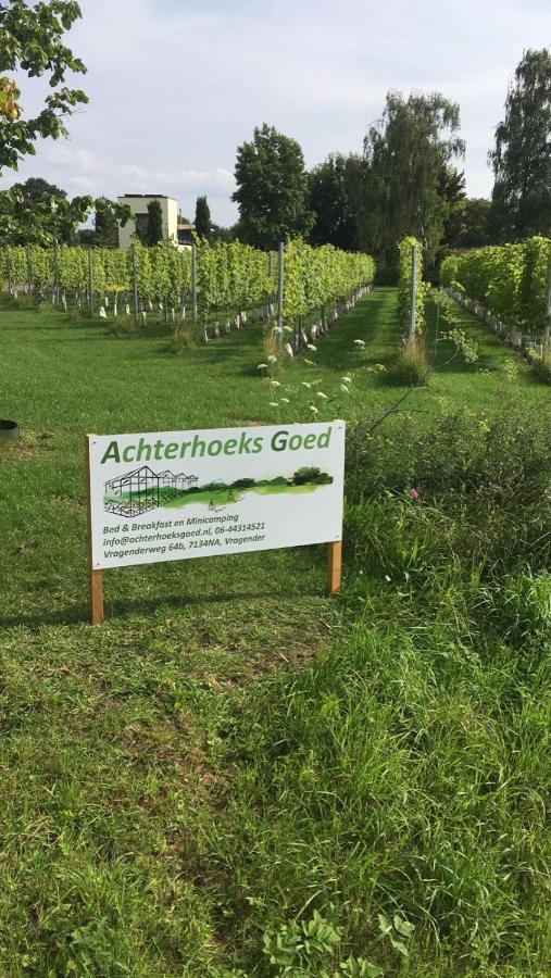 Achterhoeks Goed, Bed & Breakfast In Vragender Exteriör bild
